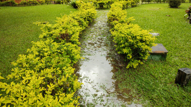 4 Ways to Prevent Water Erosion